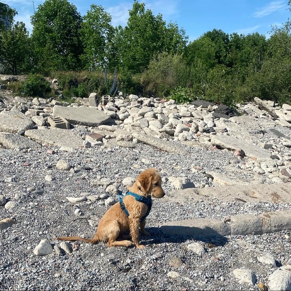 Meet your Posher, Kate - Picture 6 of 17